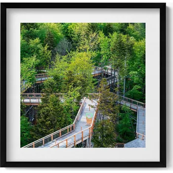 Obraz Elegantní obraz v černém rámu Cesta v Krynici Zdroju 50x50 cm