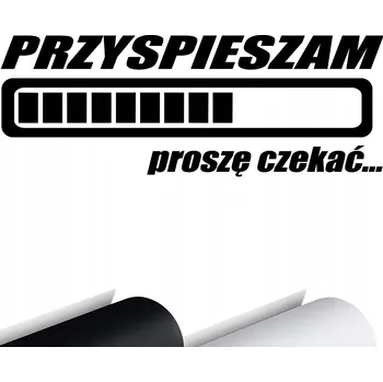 Samolepicí dekorace na vozidlo Fóliová NÁLEPKA na auto Nárazník ZRYCHLÍM PROSÍM POČKEJTE 15x6