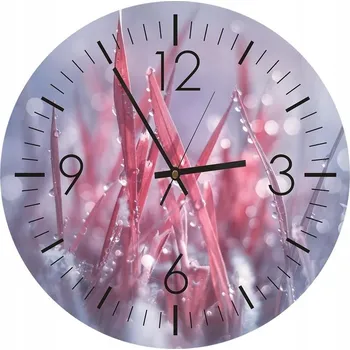 Hodiny Nástěnné hodiny KULATÝ Foto-obraz 80cm Rosa tráva