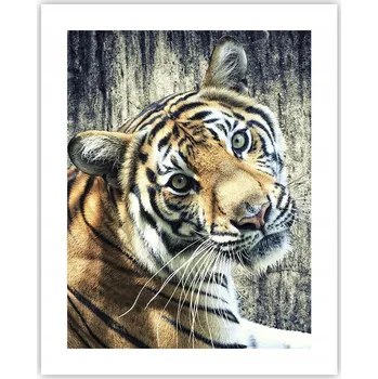 Obraz Obraz plakát na zeď bez rámu 40x50 zvířata plakáty do obýváku ložnice