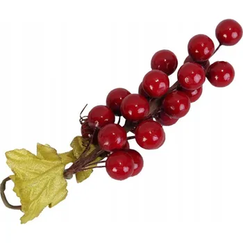 Obraz Větvička jeřabinová k zavěšení Goliat