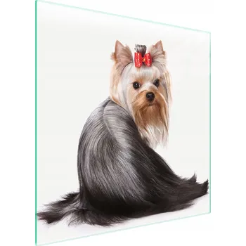 Kuchyňské prkénko Krájecí deska TMK ArtDeko sklo 1 ks