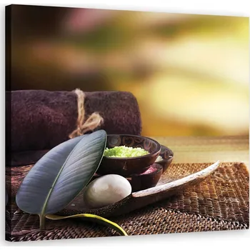 Obraz OBRAZ NA PLÁTNĚ Zen lázeňské listy 60x60