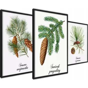 Obraz Plakát Obrázek do Kuchyně Ovoce A3 bez rámu 42 x 59,4 cm