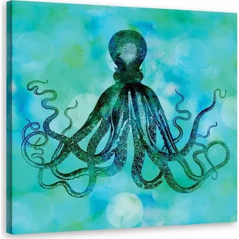 Obraz Obraz Zelenomodrá chobotnice - A Haase 60x60