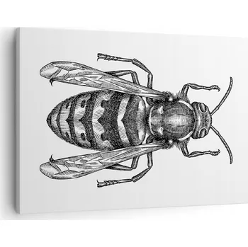 Obraz Obraz na plátně do obýváku ložnice 70x50 vosa foto obrazy na zeď canvas