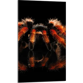 Kuchyňské prkénko Krájecí deska TMK ArtDeko sklo 1 ks