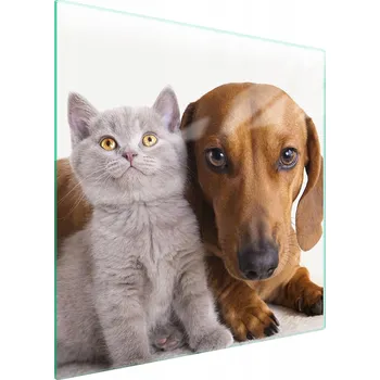 Kuchyňské prkénko Krájecí deska TMK ArtDeko sklo 1 ks