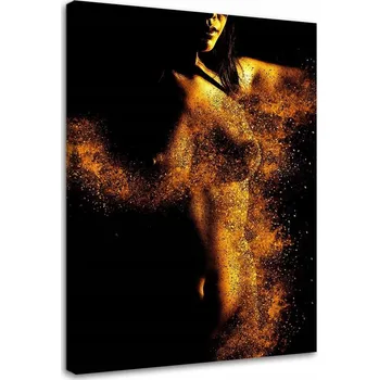 Obraz OBRAZ NA PLÁTNĚ Akt Žena Zlato Barva 80x120