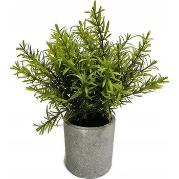 umělá květina Umělý chřest v sádrovém květináči jako živý umělé květy