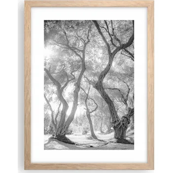 Obraz Obraz plakát v rámu světlý dub do obýváku 30x40 les foto plakáty na zeď