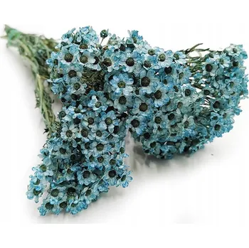 umělá květina Oxodia niebieska sušený květ sušiny sušené rostliny do mechu