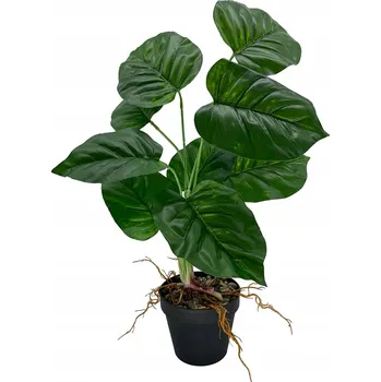 umělá květina Diefenbachie Umělé květy JAKO ŽIVÁ 55 cm