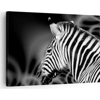 Obraz Obraz na plátně do obývacího pokoje ložnice 70x50 zebra foto obrazy na zeď