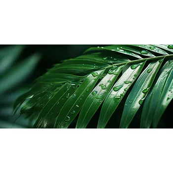 Plakát Plakát Živá Jemnost bez rámu 91,3 x 44,5 cm