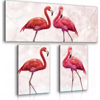 Obraz OBRAZ NA PLÁTNĚ CANVAS 80x67,5 RŮŽOVÍ PLAMEŇÁCI