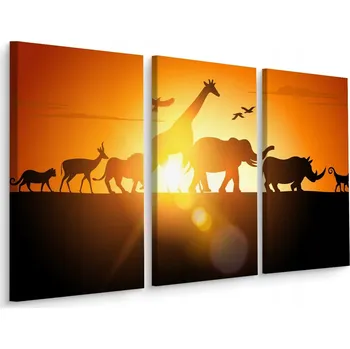 Obraz Obraz Triptych ZVÍŘATA Západ Slunce 3D 60x40