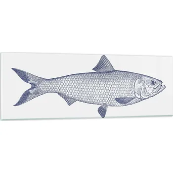 Obraz Obraz na skle do obýváku ložnice 90x30 ryba foto obrazy na zeď sklo