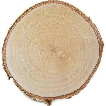 Obraz Pláty dřevěné bříza broušené 8-10 cm tl. 1 cm