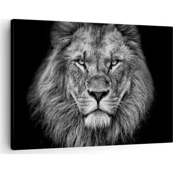 Obraz Obraz na plátně do obýváku, ložnice 70x50 zvířata foto obrazy na zeď