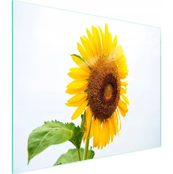 Kuchyňské prkénko Krájecí deska TMK ArtDeko sklo 1 ks