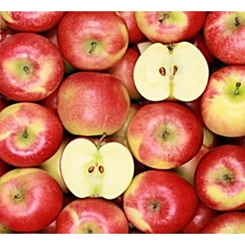 Obraz Rámeček na jednu fotografii Tradag 50 x 50 cm