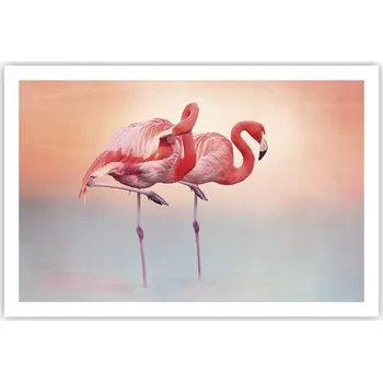 Obraz Obraz plakát do obýváku, ložnice 91x61 plameňáci foto na zeď bez rámu