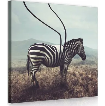 Obraz OBRAZ NA PLÁTNĚ CANVAS 80x80 ZEBRA PRUHY KRAJINA