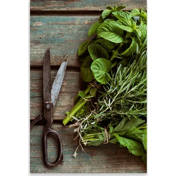 Kuchyňské prkénko Skleněná Ochranná Deska a Krájecí Prkénko | Indukce, Sporák ds-0379