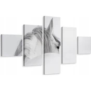 Obraz Vícedílný obraz Bílý KŮŇ v mlze 3D 150x90