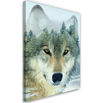 Obraz Obraz na plátně - Canvas, Vlk dvojitá expozice