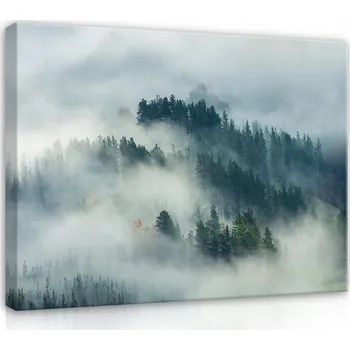 Obraz Obraz Na Plátně LÁSKA V MLZE Stromy Příroda 100x70