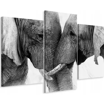 Obraz Obraz Triptych SLONI Zvířata Příroda 3D 60x40