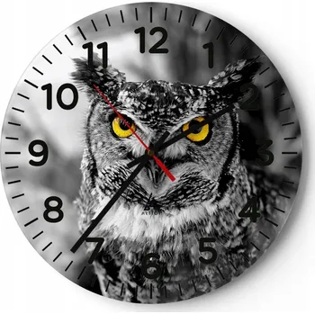 Hodiny Nástěnné hodiny do obýváku 40x40 Ptáci Kulatý Skleněné hodiny Loft Tiché