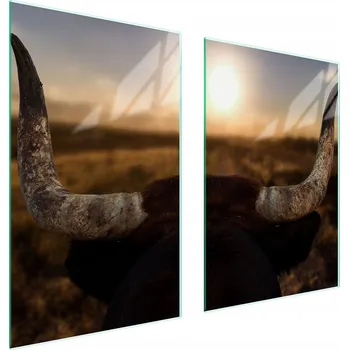 Kuchyňské prkénko Krájecí deska TMK ArtDeko sklo 2 ks