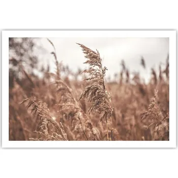 Obraz Obraz plakát do obýváku ložnice 91x61 krajina foto na zeď bez rámu