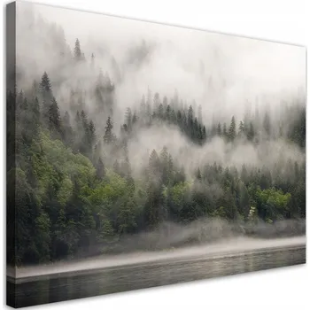 Obraz Obraz na plátně, Mlhavý les jezero 120x80 120x