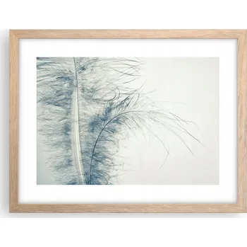 Obraz Obraz plakát v rámu světlý dub do obýváku 40x30 pírka foto plakáty na zeď