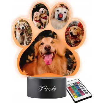 Lampička Noční lampa Plexido vícebarevná