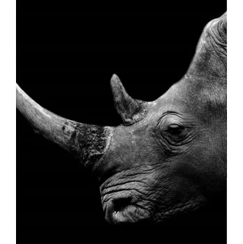 Kuchyňské prkénko Skleněná Ochranná Deska a Krájecí Prkénko | Indukce, Sporák ds-0136