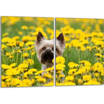 Obraz Krájecí deska TMK ArtDeko sklo 2 ks