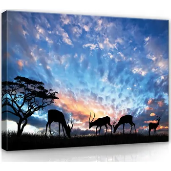 Obraz OBRAZ NA PLÁTNĚ CANVAS 100x75 ANTILOPA NEBE
