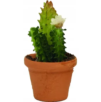 Květináč Květináč s kaktusem – 4,9 Cm vysoký pro postavy 8-15 cm