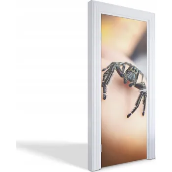 Fototapeta Samolepicí samolepící na dveře a nábytek Skákací pavouk 75 x 205 cm