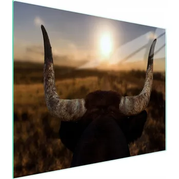 Kuchyňské prkénko Krájecí deska TMK ArtDeko sklo 1 ks