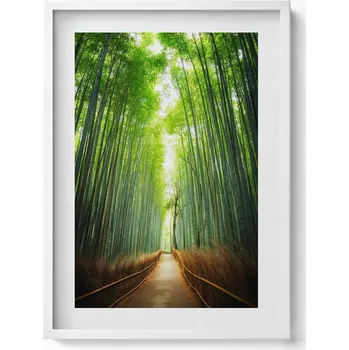 Obraz Elegantní obraz do obýváku Bambusový les Arashiyama Kjóto Japonsko 50x70 cm