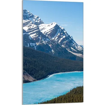 Kuchyňské prkénko Krájecí deska TMK ArtDeko sklo 1 ks