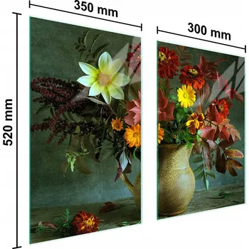 Kuchyňské prkénko Krájecí deska TMK ArtDeko sklo 2 ks