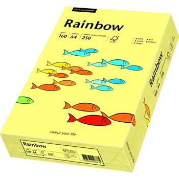 Papír pro tiskárny Kancelářský papír Rainbow formát A4 160g, 250 listů
