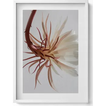 Obraz Závěsný obraz na zeď dekorace do bytu Jemná rostlina boho 50x70 cm